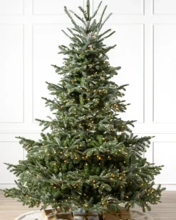 Balsam Hill European Fir Trees Sale