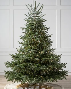 Balsam Hill European Fir Trees Sale