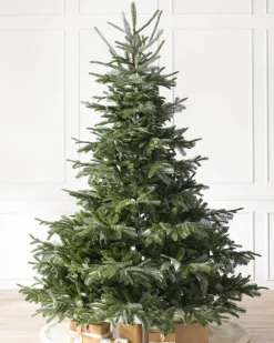 Balsam Hill European Fir Trees Sale