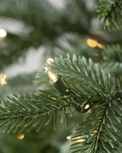 Balsam Hill European Fir Trees Sale