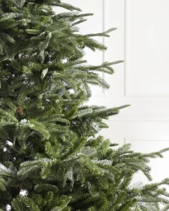 Balsam Hill European Fir Trees Sale