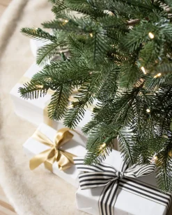 Balsam Hill European Fir Trees Sale