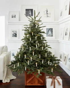 Balsam Hill European Fir Trees Sale