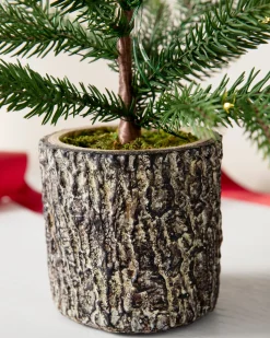 Balsam Hill Evergreen Saplings Tabletop Trees Hot