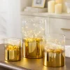Balsam Hill Fairy Light Hurricanes Discount