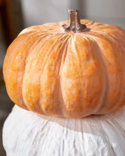 Balsam Hill Fairytale Pumpkins Outlet