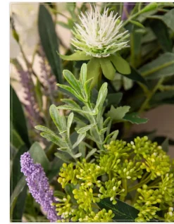 Balsam Hill French Market Floral Foliage
