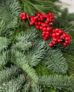 Balsam Hill Fresh Cedar Forest Foliage Discount