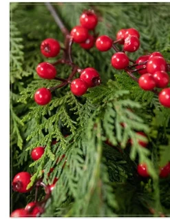 Balsam Hill Fresh Cedar Grove Foliage Discount