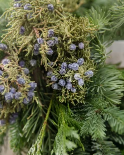 Balsam Hill Fresh Evergreens & Juniper Berry Foliage Outlet