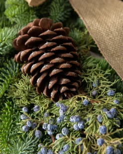 Balsam Hill Fresh Evergreens & Juniper Berry Foliage Outlet