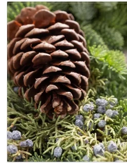 Balsam Hill Fresh Evergreens & Juniper Berry Foliage Outlet