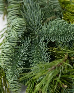 Balsam Hill Fresh Noble Fir Woodland Foliage Sale