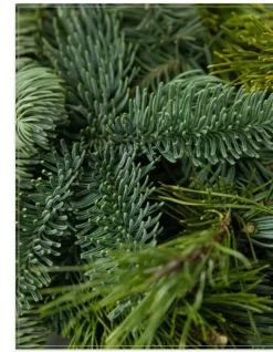 Balsam Hill Fresh Noble Fir Woodland Foliage Sale