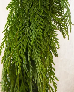 Balsam Hill Fresh Wispy Cedar Foliage Outlet