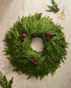 Balsam Hill Fresh Wispy Cedar Foliage Outlet