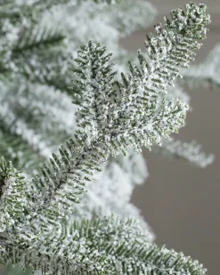 Balsam Hill Frosted Alpine Balsam Fir Trees Best