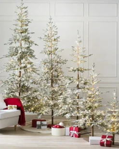 Balsam Hill Frosted Alpine Balsam Fir Trees Best