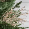 Balsam Hill Frosted Branch Picks