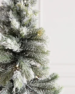 Balsam Hill Frosted Forest Pine LED Trees Discount