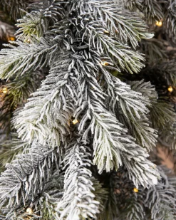 Balsam Hill Frosted Forest Pine LED Trees Discount