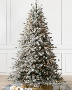 Balsam Hill Frosted Sugar Pine Trees New