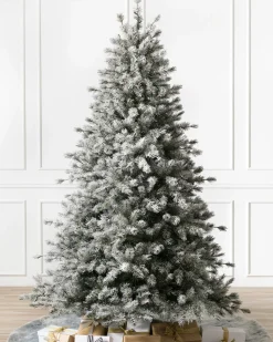 Balsam Hill Frosted Sugar Pine Trees New