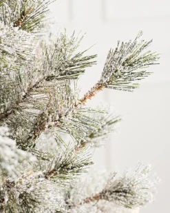 Balsam Hill Frosted Sugar Pine Trees New