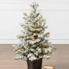 Balsam Hill Frosted Yukon Spruce Artificial Potted Christmas Trees Online