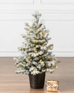 Balsam Hill Frosted Yukon Spruce Artificial Potted Christmas Trees Online