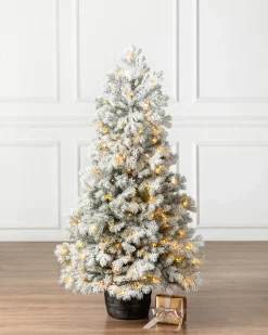 Balsam Hill Frosted Yukon Spruce Artificial Potted Christmas Trees Online