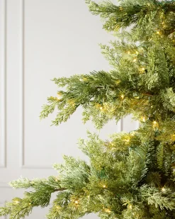 Balsam Hill Grand Canyon Cedar® Trees Clearance