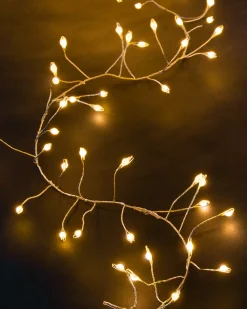 Balsam Hill Large Fairy Light String Best