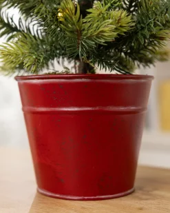 Balsam Hill Lit Countryside Tabletop Tree Sets Sale