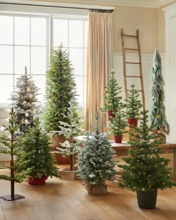 Balsam Hill Lit Countryside Tabletop Tree Sets Sale