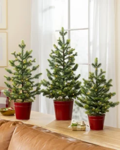 Balsam Hill Lit Countryside Tabletop Tree Sets Sale