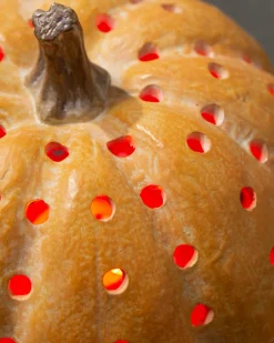 Balsam Hill Lit Cut-Out Pumpkins Online