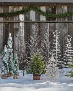Balsam Hill Lit Snowy Branch LED Trees Online
