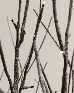 Balsam Hill Lit Snowy Branch LED Tree Grove Sale