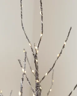 Balsam Hill Lit Twig Branches