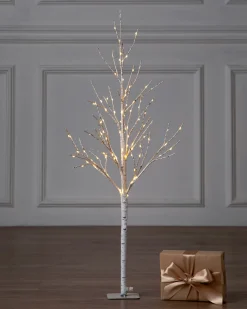 Balsam Hill Lit Winter Birch LED Trees Best