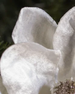 Balsam Hill Magnolia Christmas Tree Picks Best