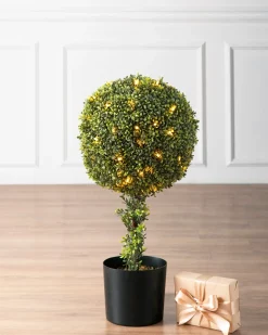Balsam Hill Outdoor Boxwood Artificial Christmas Topiaries Clearance