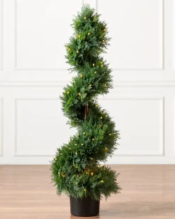 Balsam Hill Outdoor Cypress Artificial Christmas Topiaries Outlet