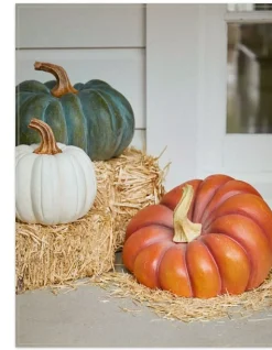 Balsam Hill Outdoor Heirloom Pumpkins Best
