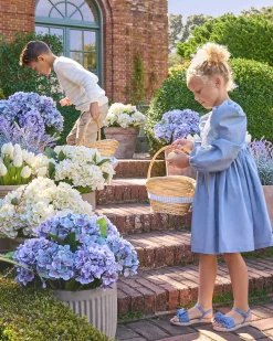 Balsam Hill Outdoor Hydrangea Harmony Foliage Clearance