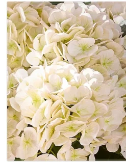 Balsam Hill Outdoor Hydrangea Harmony Foliage Clearance