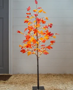 Balsam Hill Outdoor LED Lit Autumn Maple Trees Sale