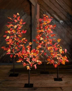 Balsam Hill Outdoor LED Lit Autumn Maple Trees Sale