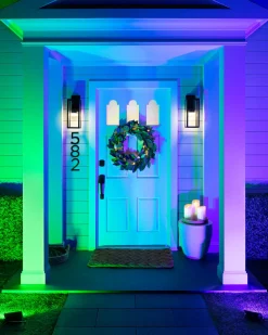 Balsam Hill Outdoor LED Multicolor Flood Lights Clearance
